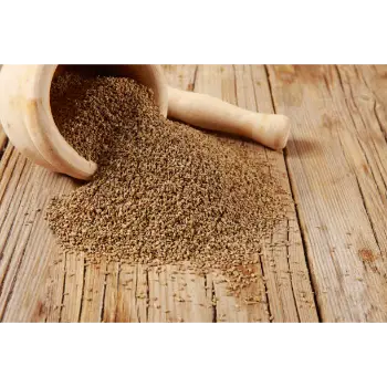 Organic Dry Fruit Powder